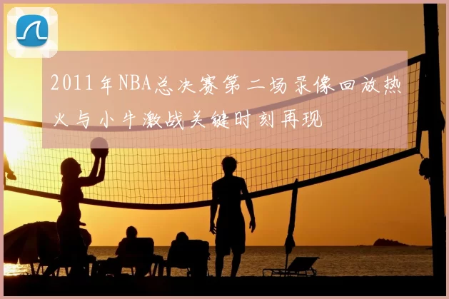 2011年NBA总决赛第二场录像回放热火与小牛激战关键时刻再现