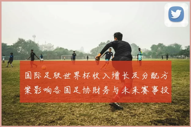 国际足联世界杯收入增长及分配方案影响各国足协财务与未来赛事投入