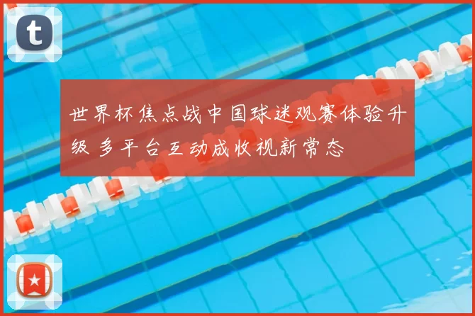 世界杯焦点战中国球迷观赛体验升级 多平台互动成收视新常态